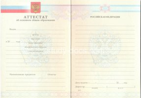 Аттестат за 9 класс 2007-2010 в Копейске